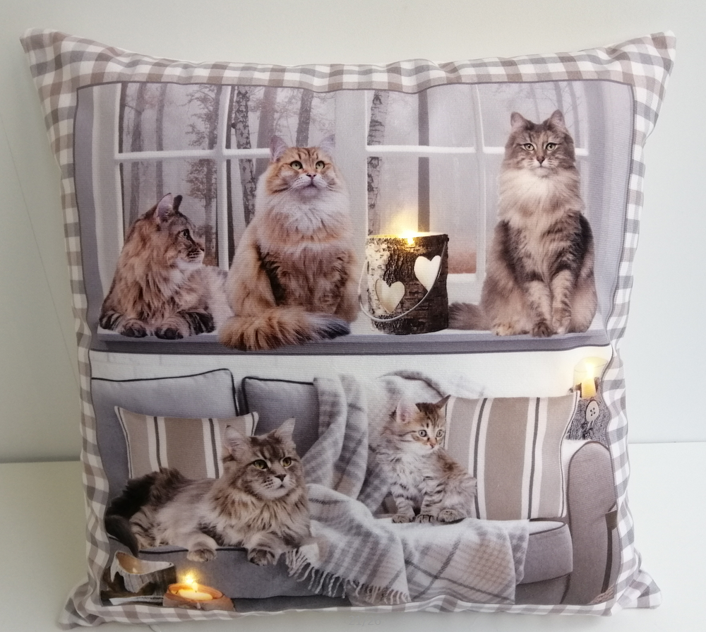 Copricuscino luminoso